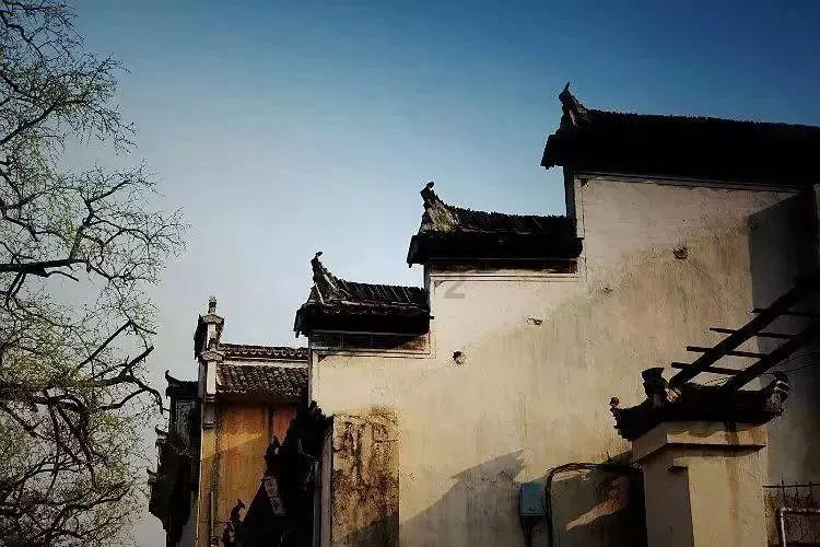 非人学园